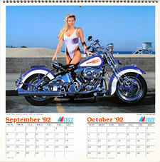 1993 Iron & Lace Calendar