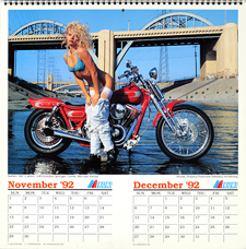1993 Iron & Lace Calendar