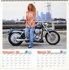 1993 Iron & Lace Calendar