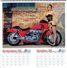 1993 Iron & Lace Calendar
