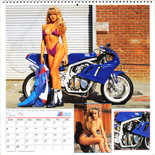 1993 Iron & Lace Calendar