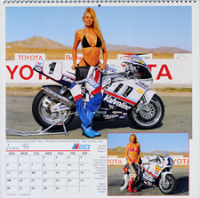 1993 Iron & Lace Calendar