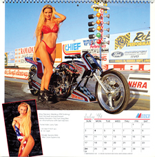1993 Iron & Lace Calendar