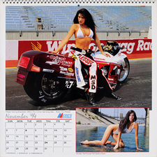 1993 Iron & Lace Calendar