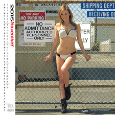 2012 Iron & Lace Calendar