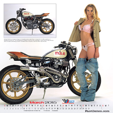 2012 Iron & Lace Calendar