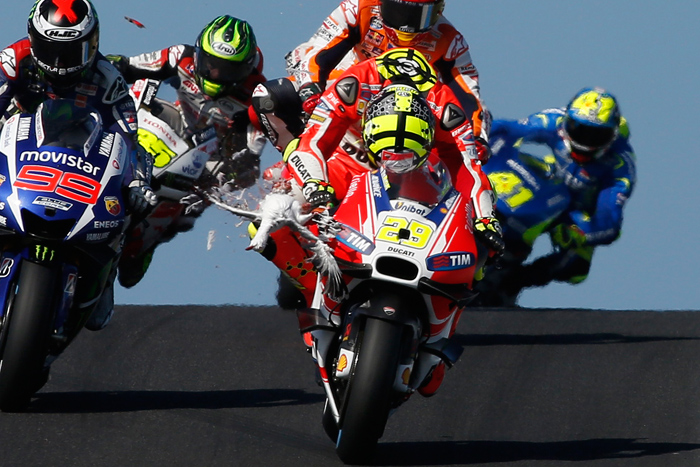 Iannone Seagul Phillip Island MotoGP